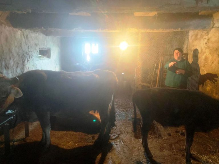 2023թ. «Աջակցություն պատերազմից տուժած ընտանիքներին» ծրագրով Կլոր սեղանն աջակցել է 17 բիզնես ծրագրի