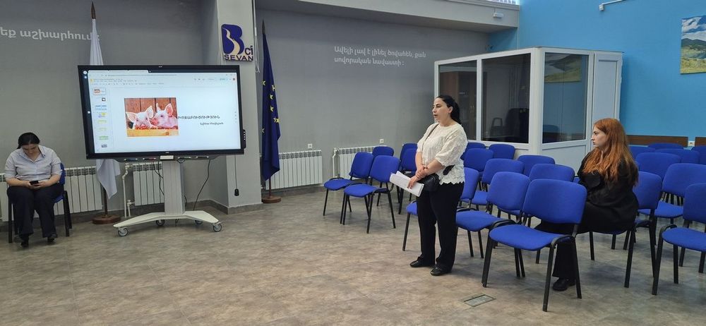 19 business ideas to be implemented in Sevan, Armenia